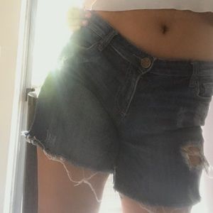 KUT from the Kloth shorts